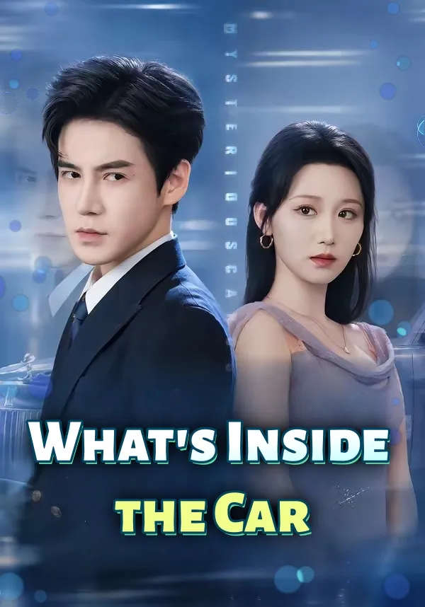 What's Inside the Car